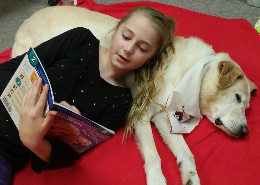 Relaxing Reading with Timba