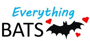 Everything Bats
