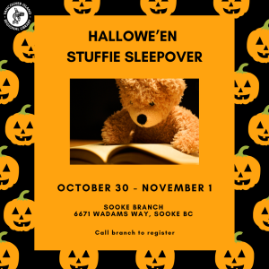 Stuffie Sleepover poster