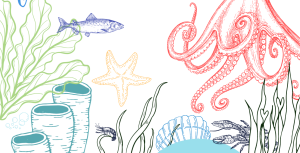 Adult Summer Reading Club Under the Sea theme