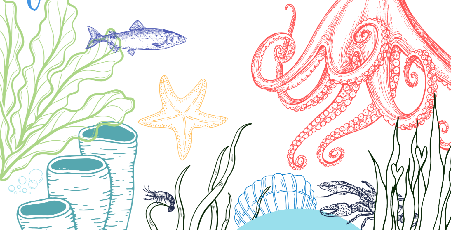 Adult Summer Reading Club Under the Sea theme
